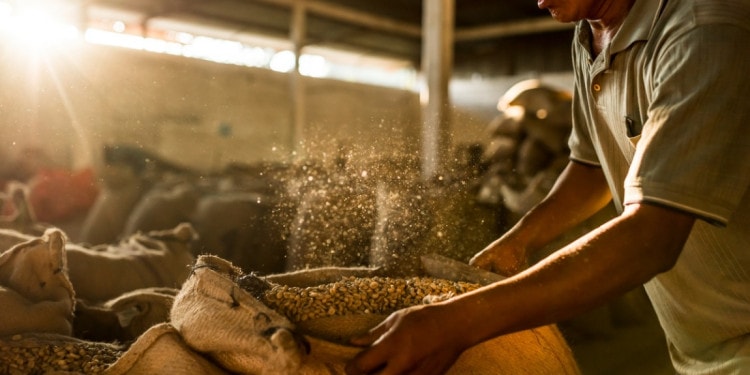 Bonaverde: Saving the planet one cup of coffee at a time