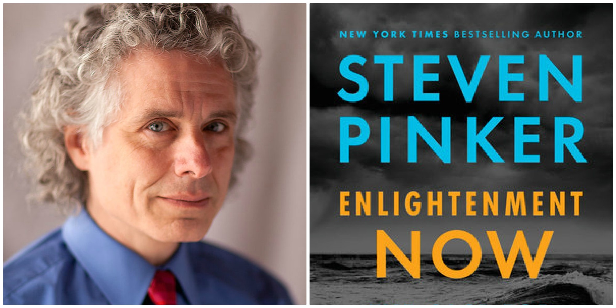 A Talk with Professor Steven Pinker - Impakter