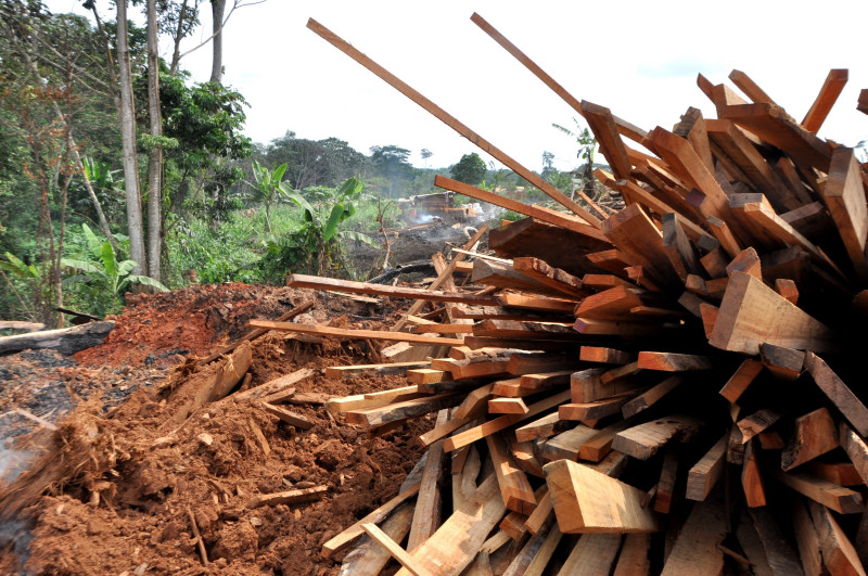 12 - alternatives to make a living - charcoal production - transform timber waste to charcaol (3) wood for charcoal