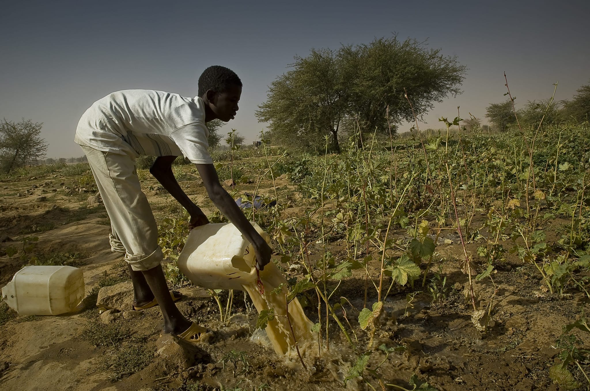 8022581797_ded208c901_k