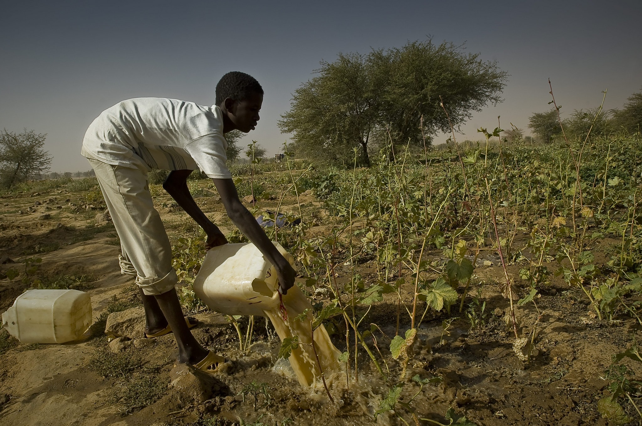 8022581797_ded208c901_k