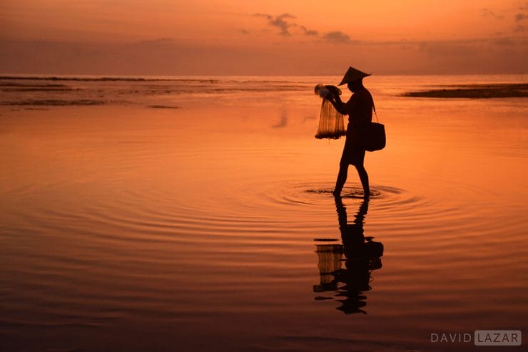 Photo Credit: David Lazar