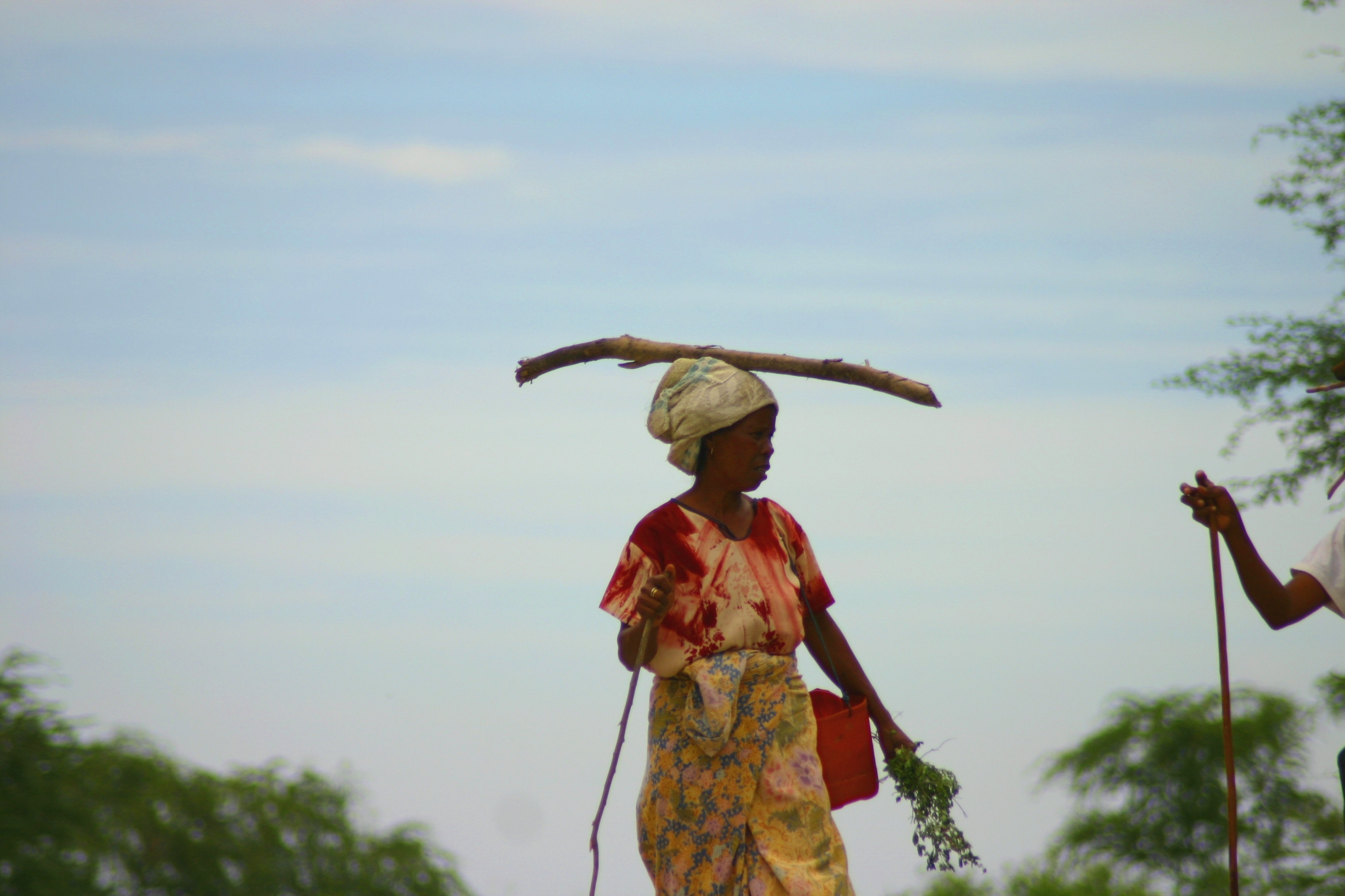 Progress on the ‘Peace Goal’: Are We Truly Achieving It?