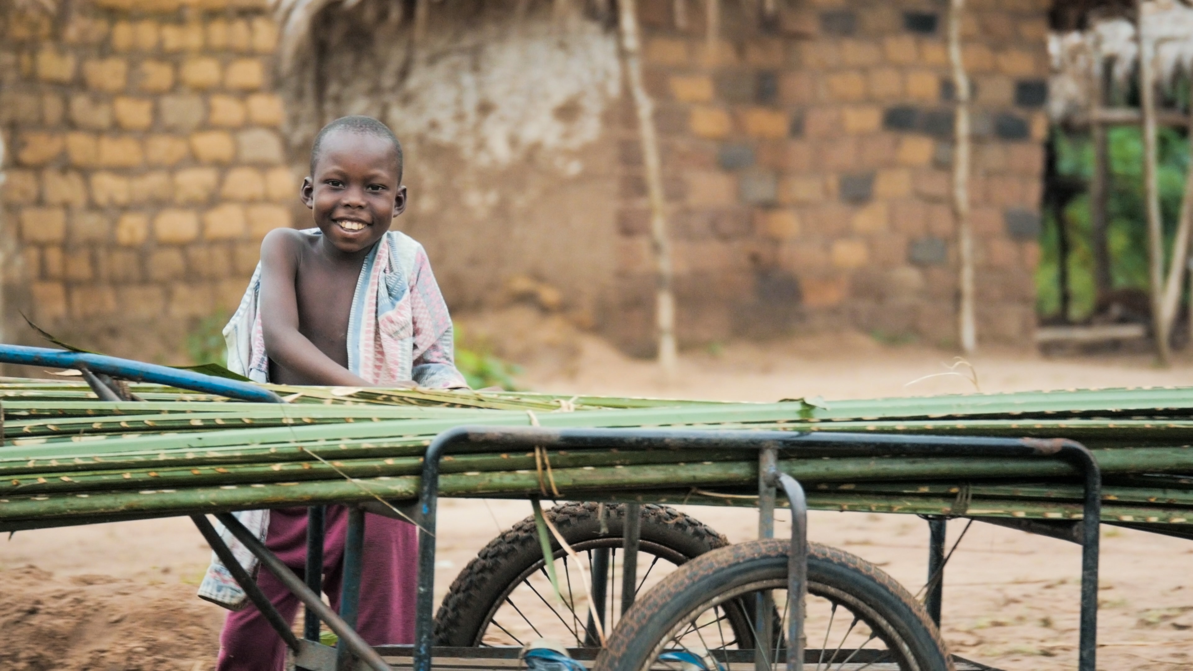 Placing Forests at the Heart of the SDGs