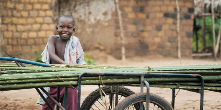 Placing Forests at the Heart of the SDGs