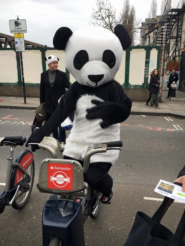 Could this Cheeky Panda save the world ?