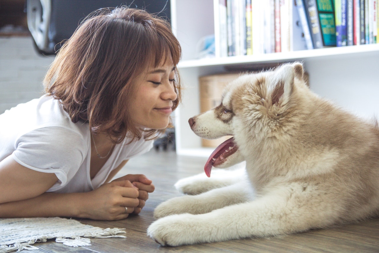 A Dog’s Job: The Incredible Benefits of Pet Therapy