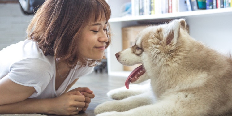 A Dog’s Job: The Incredible Benefits of Pet Therapy
