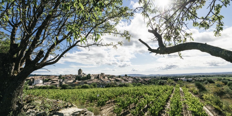 Chateau Maris, A Winery That Saves The Planet