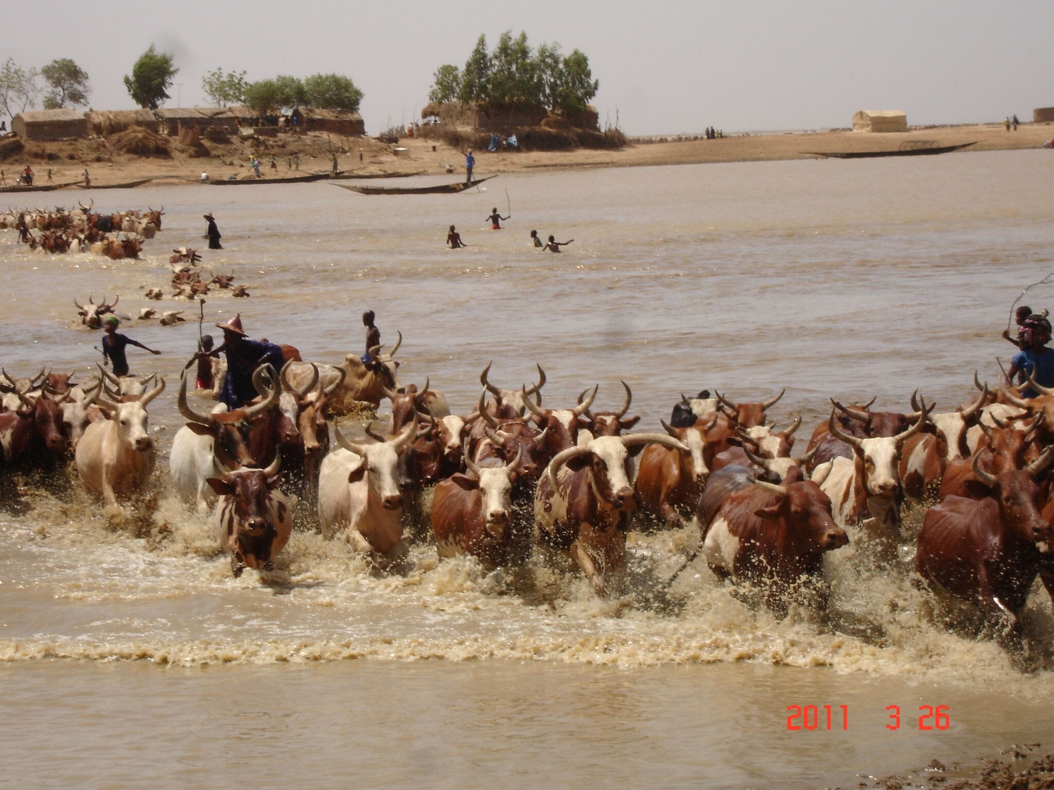 Wetlands International (3)