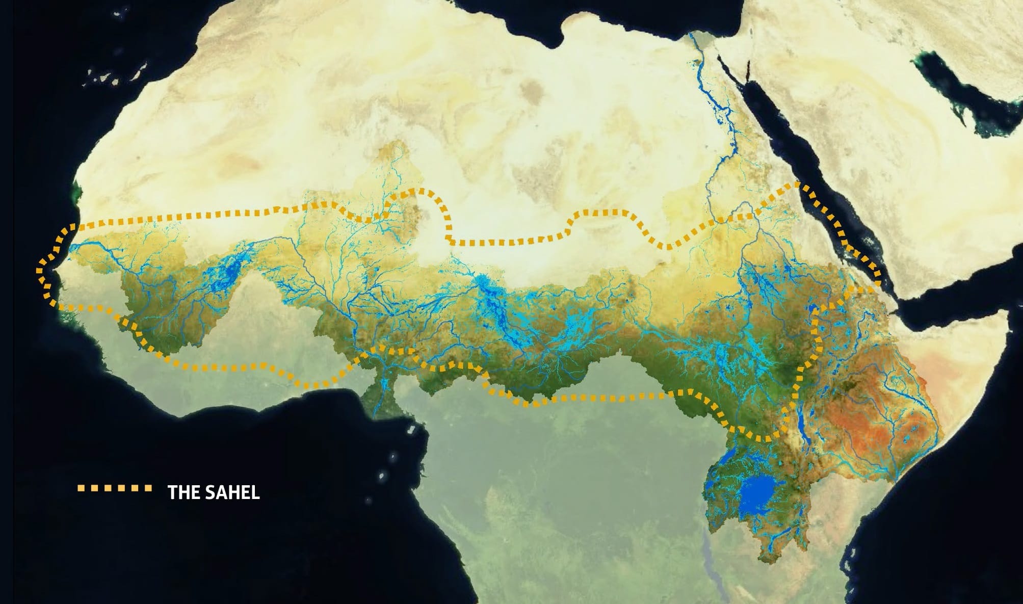 Wetlands International