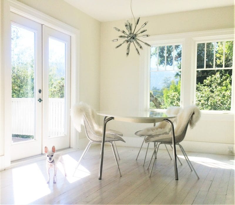 Zero Waste Lifestyle: Interview with Bea Johnson