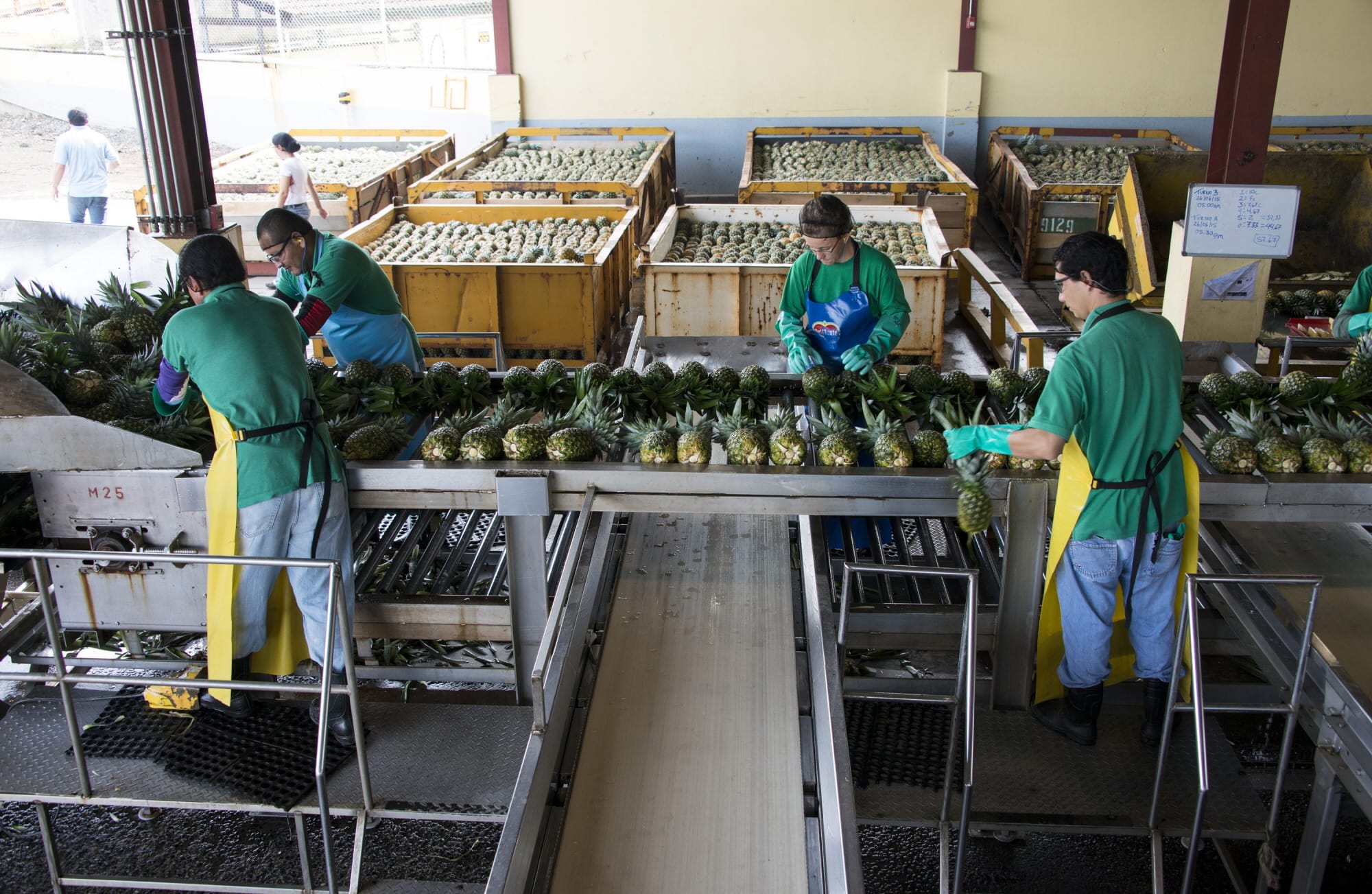 Agriculture: Accelerating progress by mobilizing action