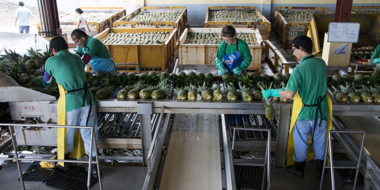 Agriculture: Accelerating progress by mobilizing action