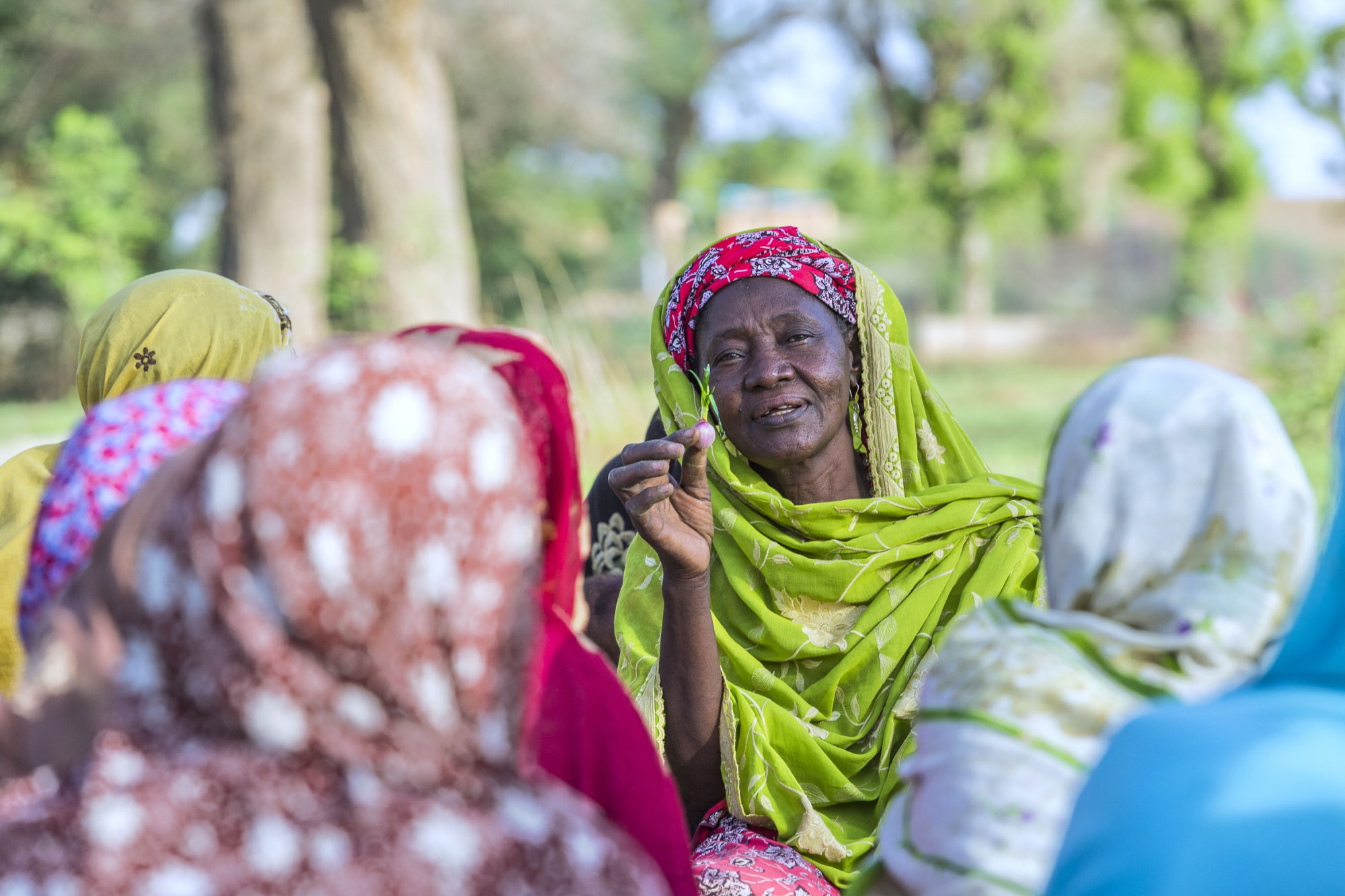 Project title: GCP /NER/056/MUL Opérationnalisation de l'Initiative « Faim Zéro » à travers la mise en uvre des paquets d'activités au niveau des communes de convergence