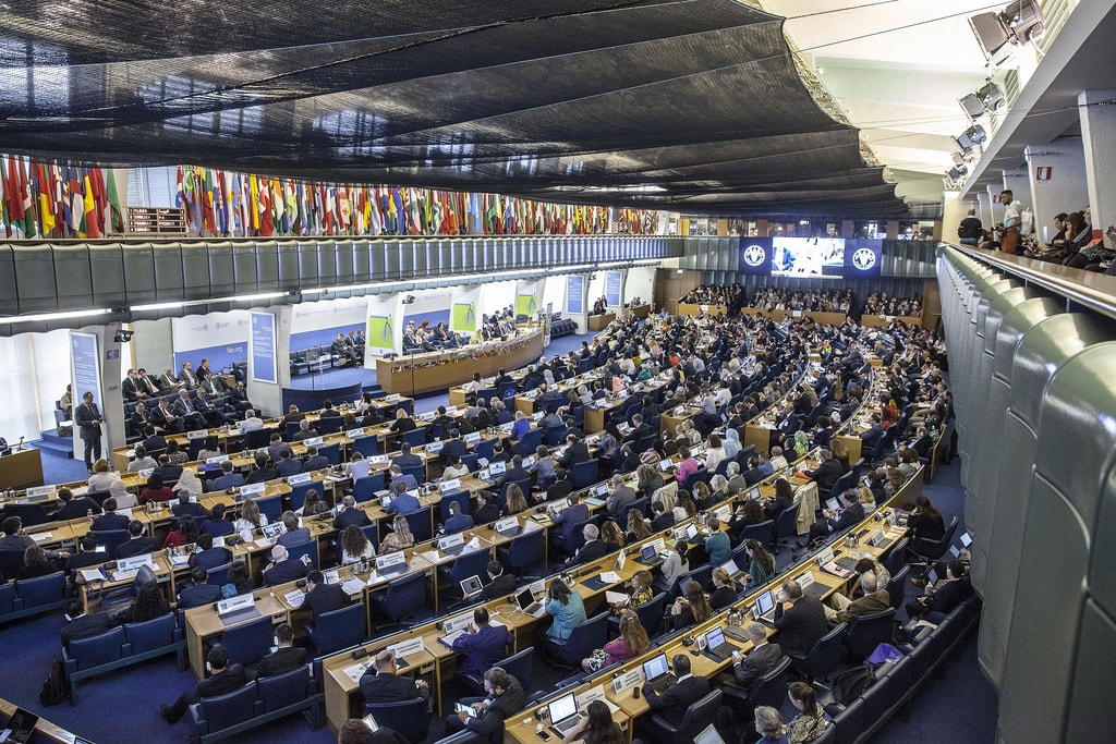 37334369320_6228978a64_b