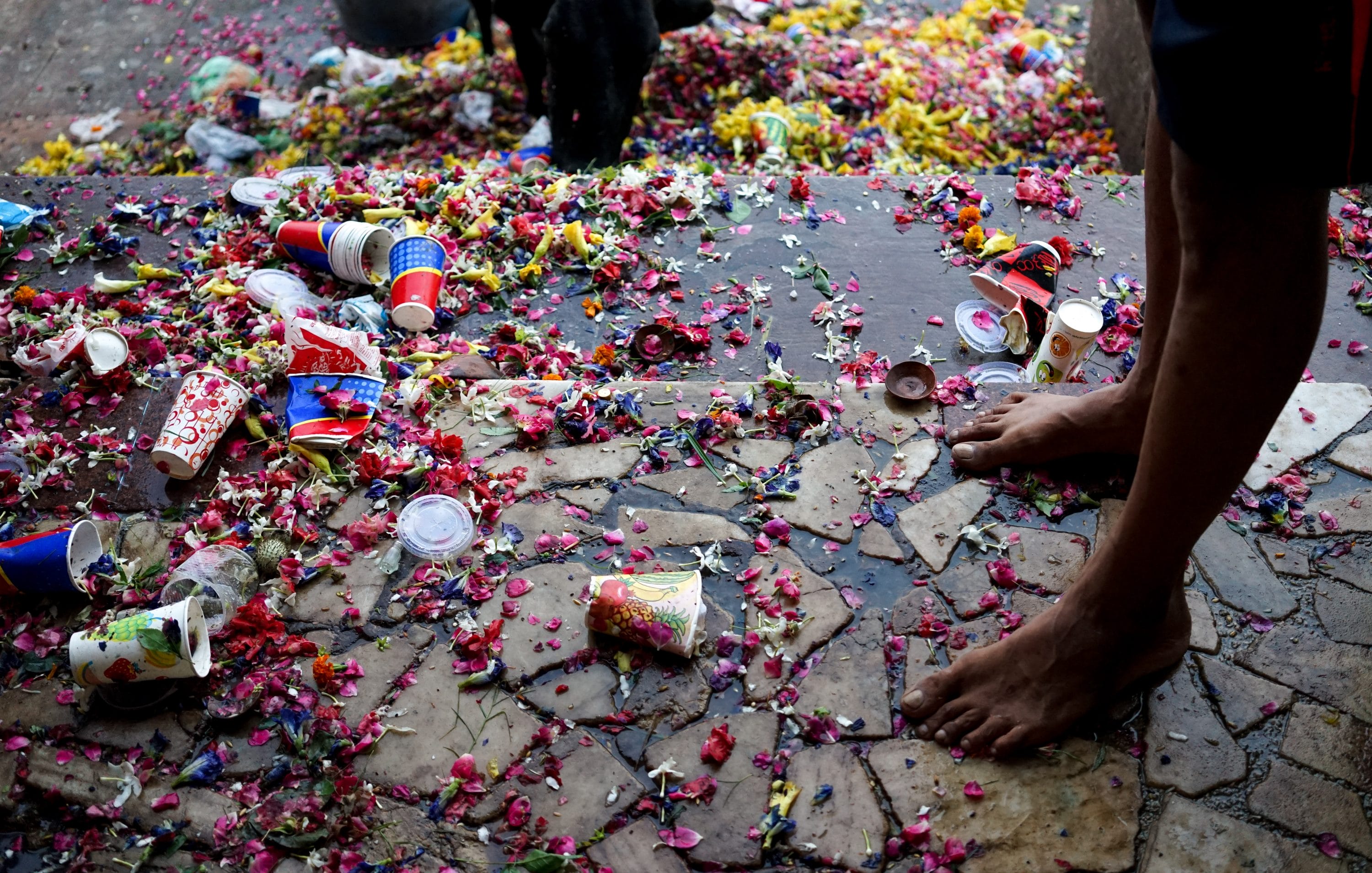 Helpusgreen-Impakter2 (1 of 1)-5