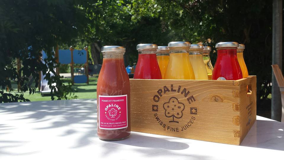 Opaline: How Loving Ugly Fruits Can Reduce Food Waste