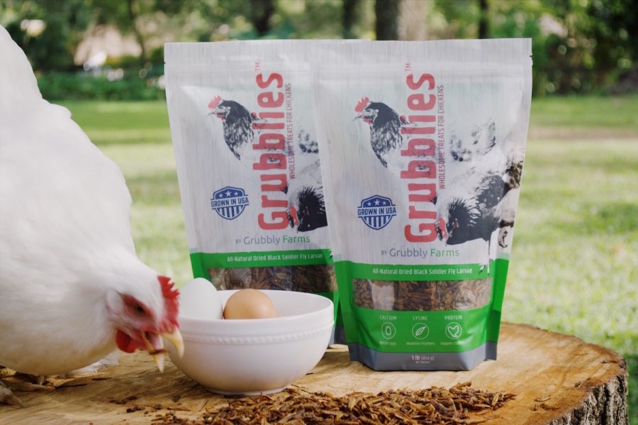 Grubbly Farms: drop the insecticide and grab some grubs to go