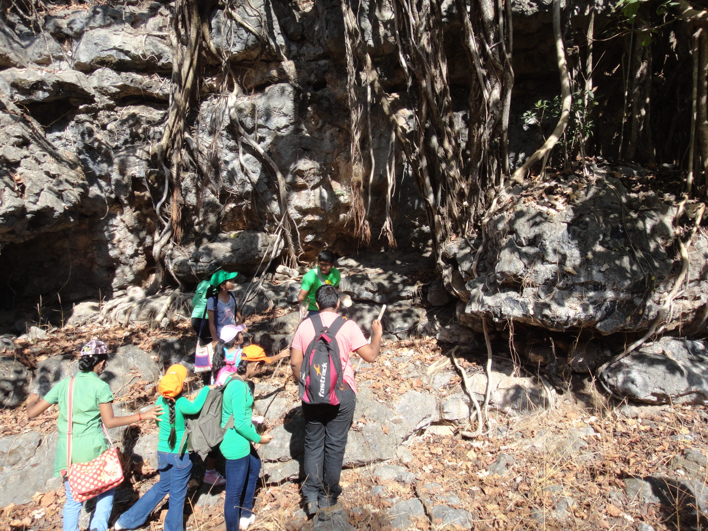 Revegetation Project initiated in 2012, has afforested over half a hectare of land. Photo Credit- Shaji Sreedhar
