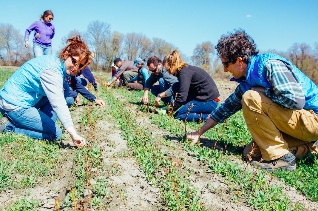 Screen Shot 2017-10-06 at 3.06.20 PM