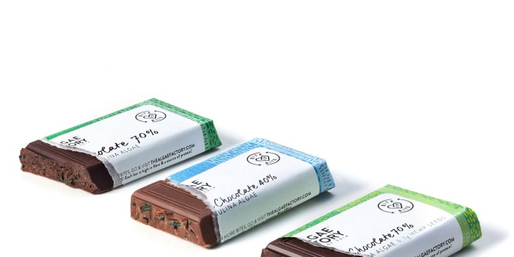 Every Bite Makes an Impakt: The Algae Factory