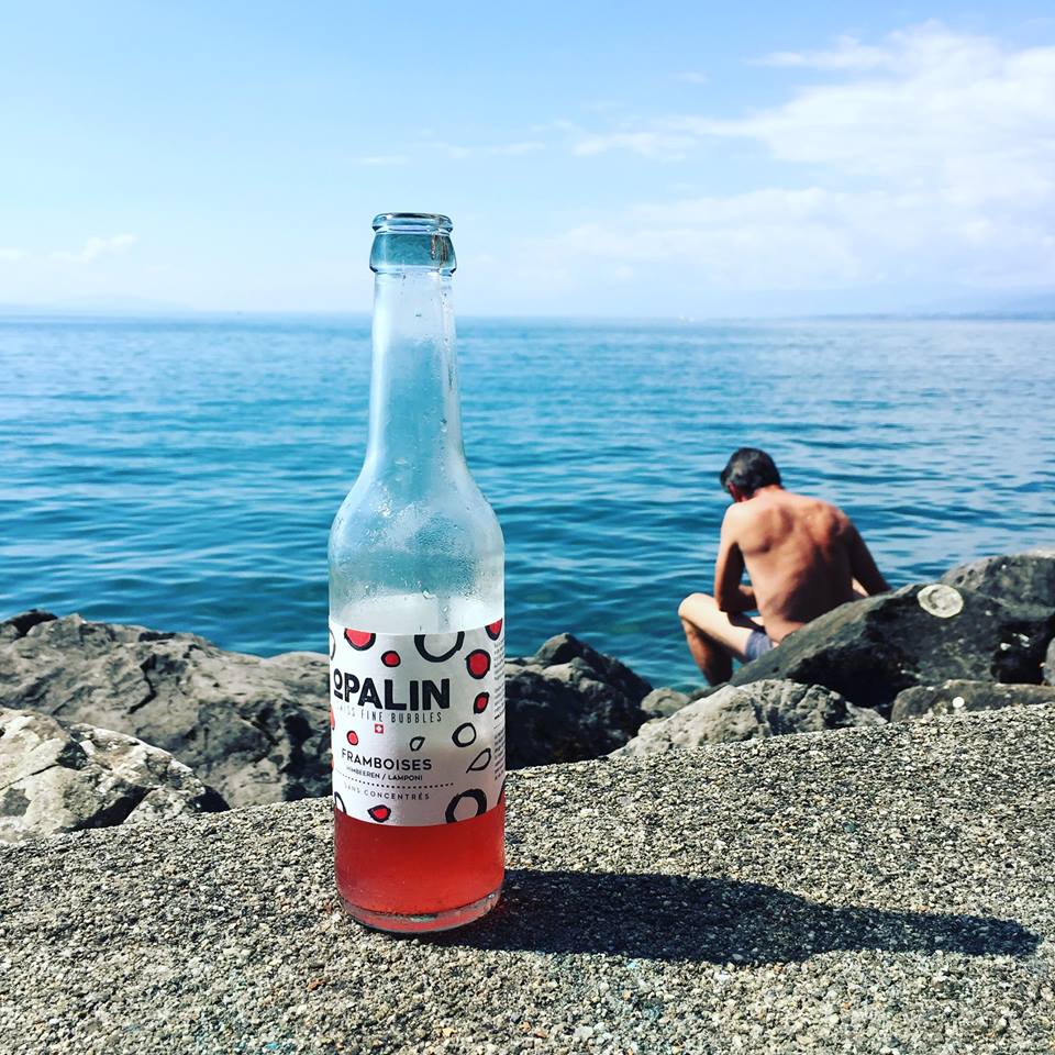 14199262_625227807654558_1775176873631485559_n