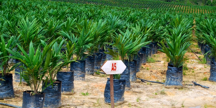 Energizing the World Through Cooperation