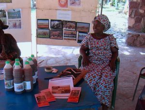 amcfe stand env expo2