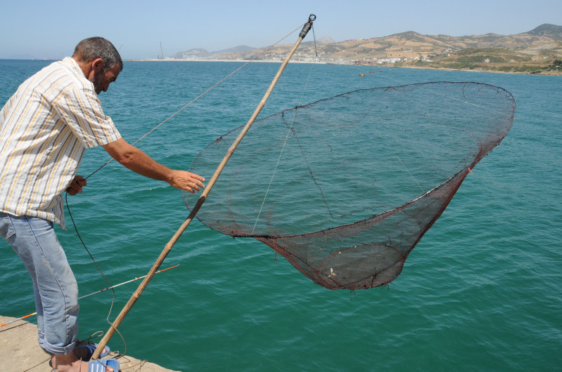 11 July 2012, Tangier, Morocco - A fisherman fishing at Ksar Sghir Port. FAO Project: GCP/INT/028/SPA - GCP/INT/006/EC - CopeMed II: Cooordination to support fisheries management in the western and central Mediterranean. The Project will support national and regional fisheries management processes and will take advantage of the scientific multidisciplinary knowledge that was developed during the first phase. The Project will attempt to reduce the differences in fisheries management between northern and southern countries of the region and will try to encourage a sub-regional approach in fisheries research and management. Re-qualifying the artisanal fisheries sector in the Mediterranean, particularly in the fragile coastal zones, is essential to the livelihood of the coastal fishing communities. The Project intends to develop pilot activities to assist the artisanal fisheries sector. The main areas of intervention are the following: -Support the sub regional cooperation (north-south and south-south) and institutional commitment to the shared management of common resources, considering the Ecosystem Approach to Fisheries; -The necessary statistical information (biological and socio-economic) for management; -Fisheries research (in its biological, ecological, socio-economic and institutional components) and the strengthening of research and regional scientific cooperation; and -Fisheries Information Networks involving all the actors and support to the regional and national institutions.