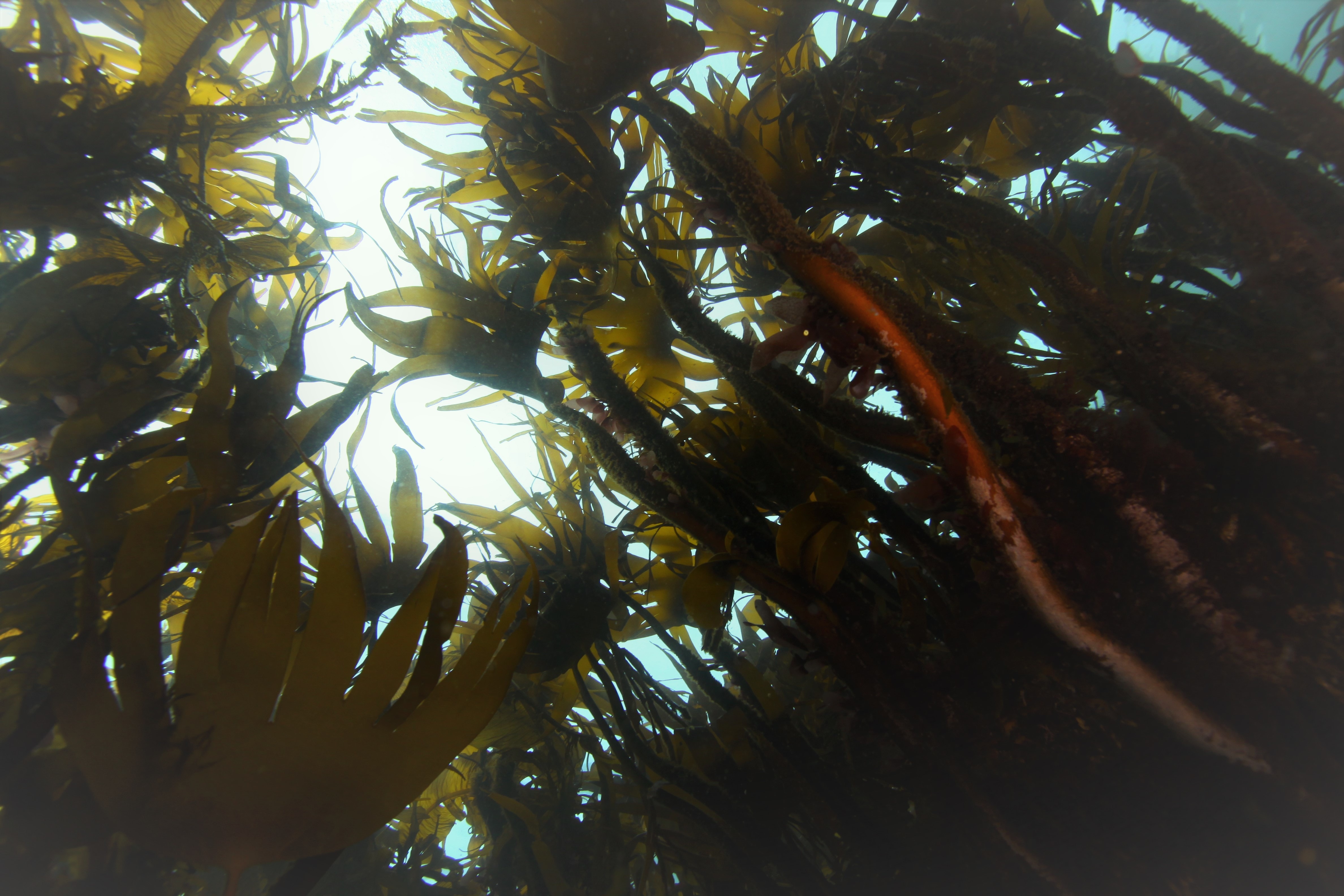 Icelandic Skin Care: Zeto at Hello Tomorrow