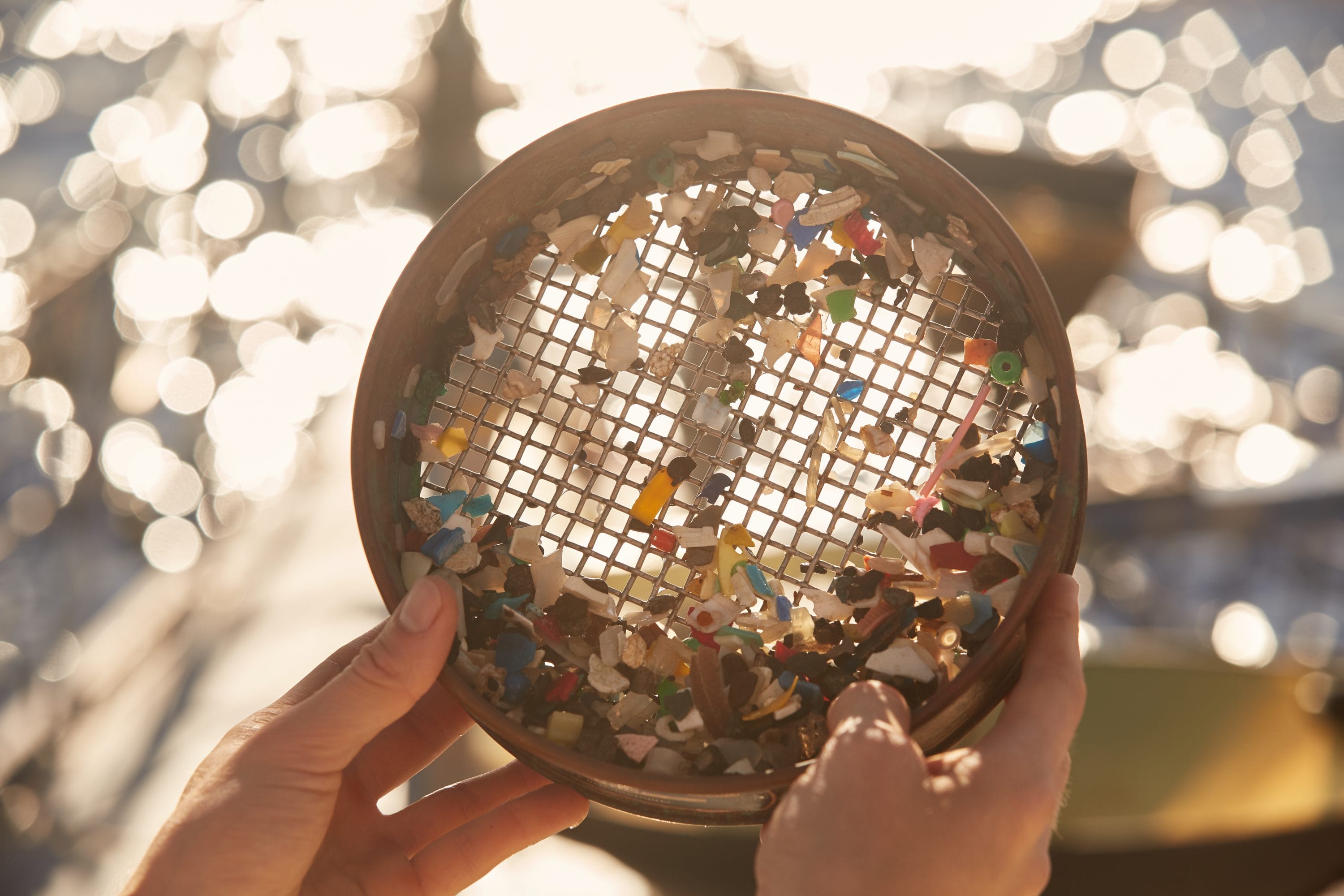 Plastic pieces - photo by Studio Swine