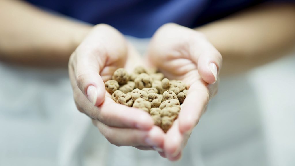 The Raw Chocolate Company: Linus Gorpe Interview