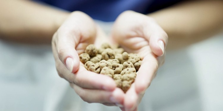 The Raw Chocolate Company: Linus Gorpe Interview