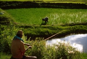 2001,Madagascar - Rice production and fish farming. Man fishing while a farmer weeds the nearby rice field.