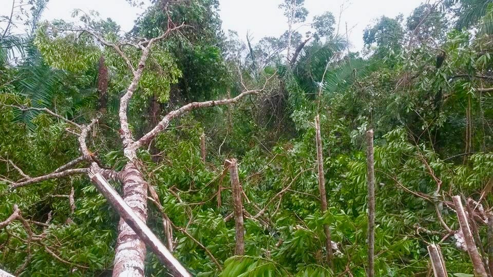 13882419_1355906411106145_8959102570744398700_n