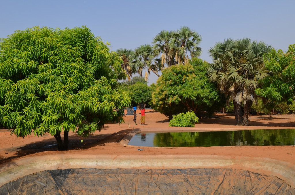 How to tackle poverty with data