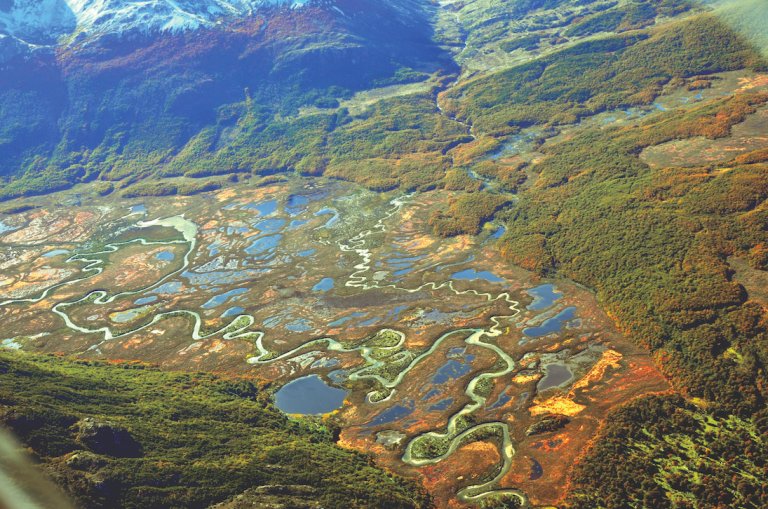 Screen Shot 2017-12-15 at 12.51.38 PM