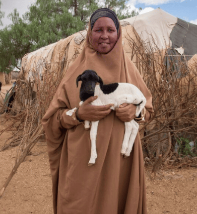 Screen Shot 2017-12-18 at 11.40.54 AM