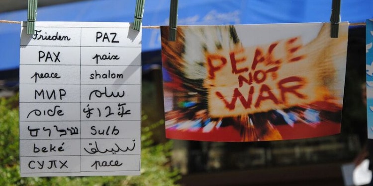 Engaging the Private Sector to Achieve the SDGs: Interview with Paloma Duran