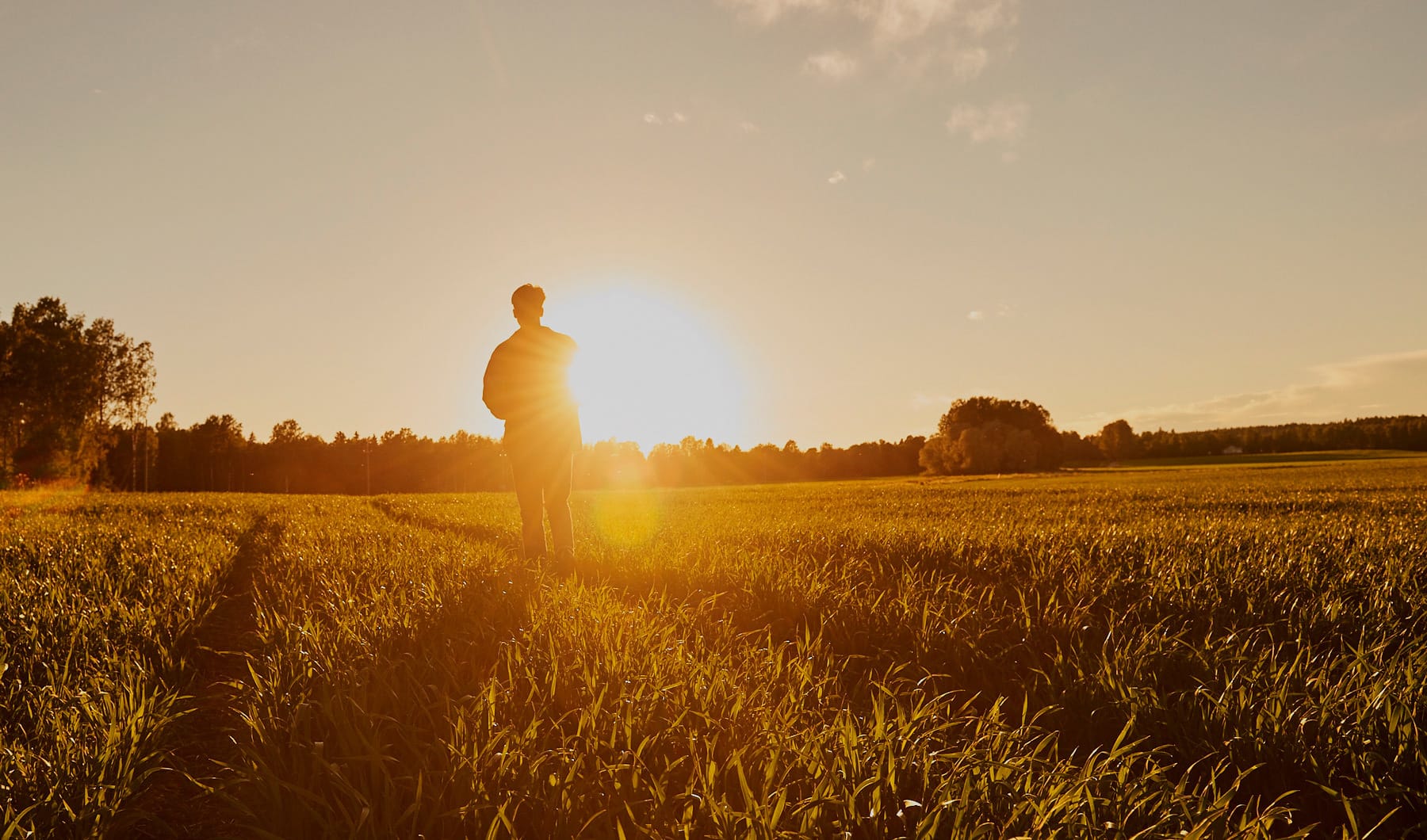 The future of agriculture: data-driven farming with GrainSense