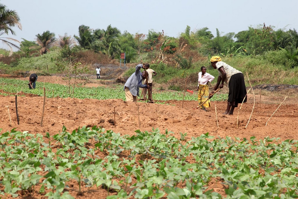 34935357904_53fc63aa16_b