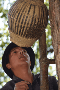 Screen Shot 2016-10-10 at 11.14.23 PM (1)