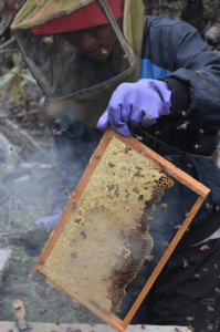 Screen Shot 2016-10-10 at 2.19.16 PM (1)