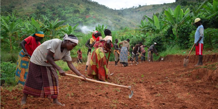 $3.4bn to help tackle hunger and achieve the SDGs, but is this enough?