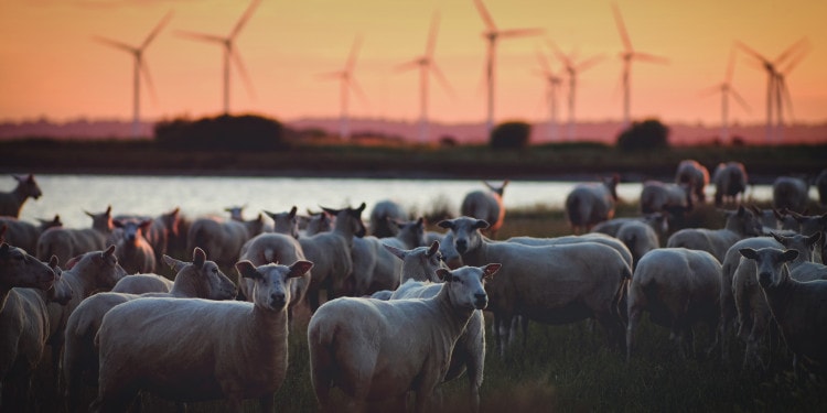 Climate Action: The Foundation of Sustainable Development