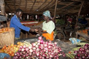 23 May 2013, Mchinji, Malawi- Selovana Phiri, one of the beneficiaries of the Social Cash Transfer Programme, selling tomatoes to a farmer at Mchinji Town market. FAO Project: MTF /RAF/464/UK - From Protection to Production: The Role of Social Cash Transfers in Fostering Broad-Based Economic Development. Evaluation of social cash transfers in 7 sub-Saharan countries and insights on how social protection interventions can contribute to sustainable poverty reduction and economic growth. FAO has a 3-year agreement with the research programme at DFIDóthe From Protection to Production Project (PtoP)óto study the impact of cash transfer programmes on household economic decision making and the local economy. This research project seeks to understand the potential productive and economic impacts of cash transfers on the rural poor in Sub Saharan Africa. It aims to provide insights on how social protection interventions can contribute to sustainable poverty reduction and economic growth at household and community-levels.