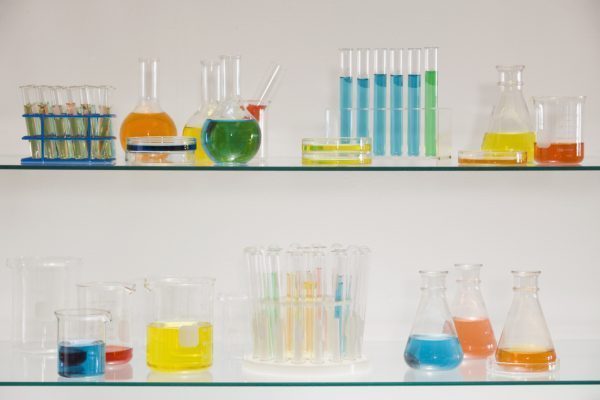 Photo Credit: My Green Lab