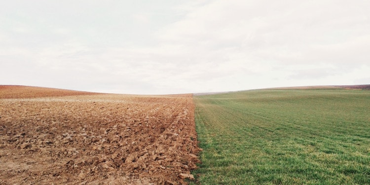 What is Climate Resilience?