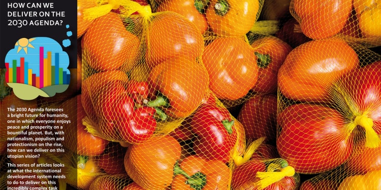 Global food systems and Aid for Trade: a good mix for financing the SDGs